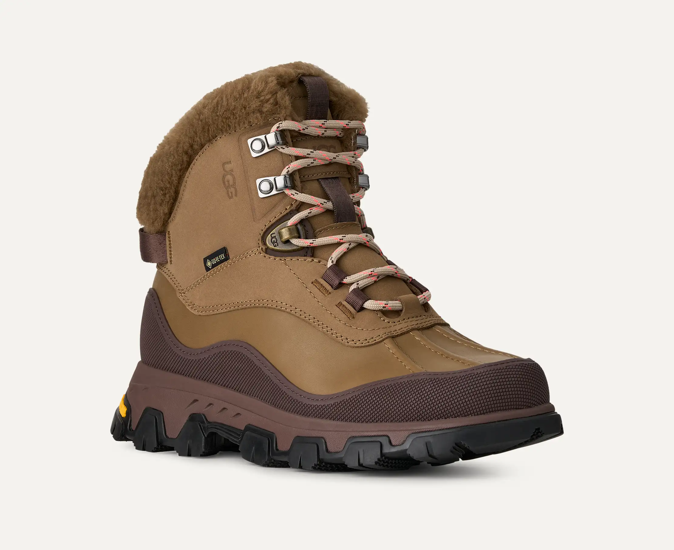 Adirondack Meridian Hiker